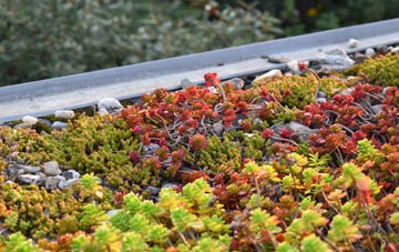 the cost of Tringford green roof installation
