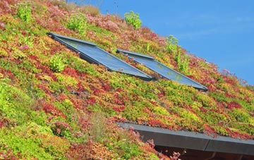 Tringford living roof systems